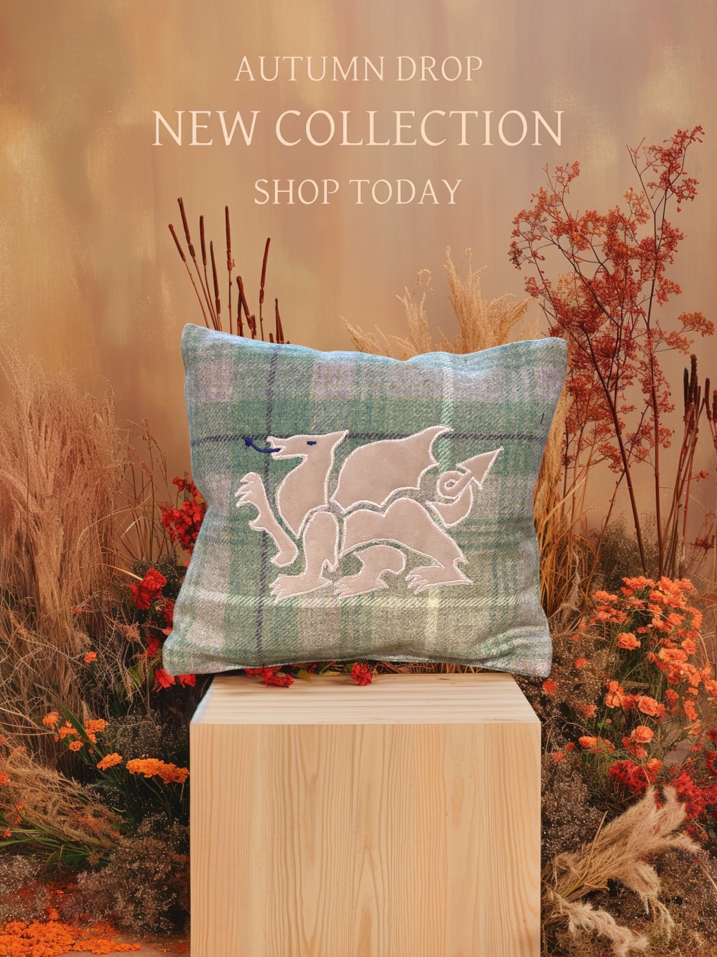 cushion
