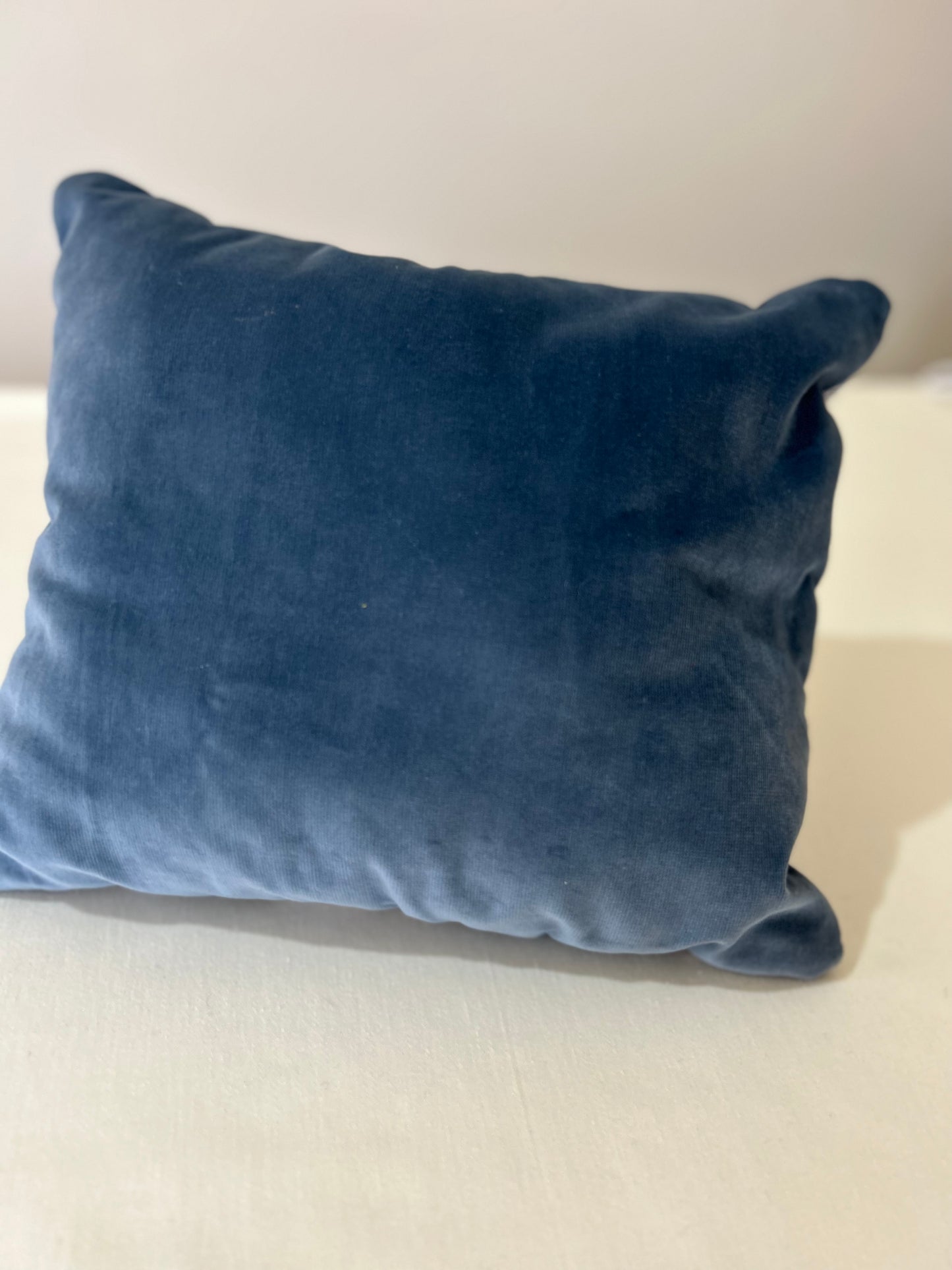 Cushion