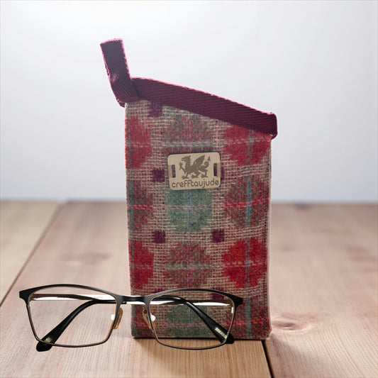 Glasses /phone case